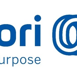 NOORSONS INDUSTRIES