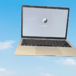 THE LAPTOP WORLD