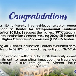 SUKKUR IBA (INSTITUTE OF BUSINESS ADMINISTRATION)
