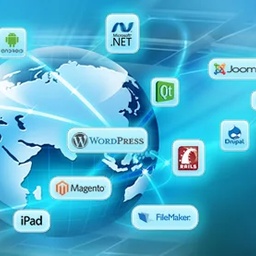 SOFTWARE ISLAND