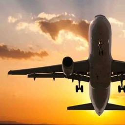 Movers And Packers In Pakistan
