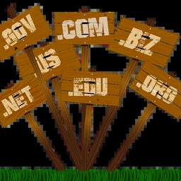 Domain Name