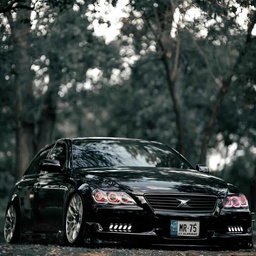 Classic Detailers