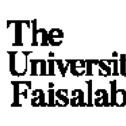 The university of Faisalabad