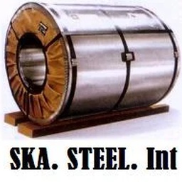 Skas-International