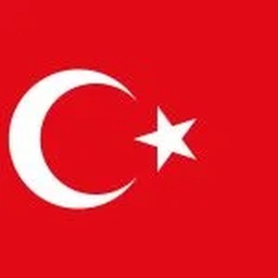 M.S International