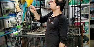 Al karam birds center