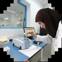 Highnoon Laboratories ltd