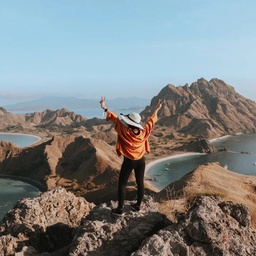 Skyline Travels