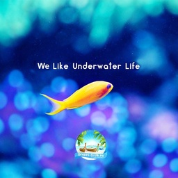Divers Club