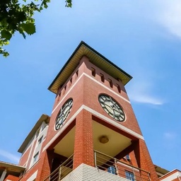 Pak China Education Consultants