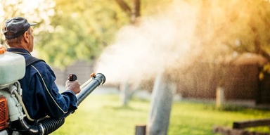 A to Z Termite control And Pest control/Fumigation