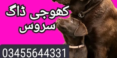 Army dog center hyderabad