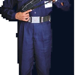 Mars Security Guards (pvt) Ltd.