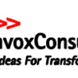 VisionVox Consulting