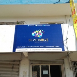 Silver Solve