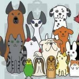 Surgvet PETS Hospital
