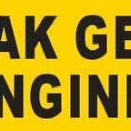 Pak German Engineers