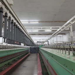 Nagina Cotton Mills Ltd.
