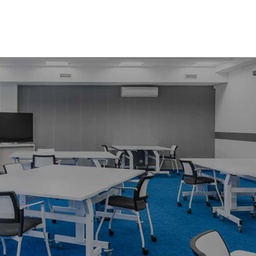 PROJECTOR UNION