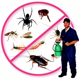 Secure fumigation in karachi