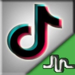 Pakistani TikTok