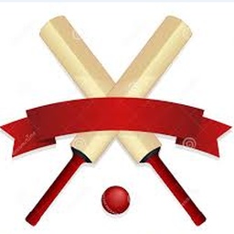 Cricket academy