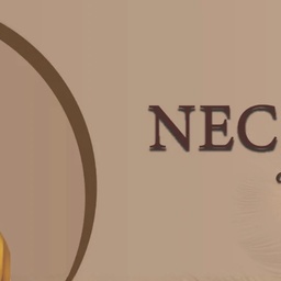 Styleline - Online Jewelry Store