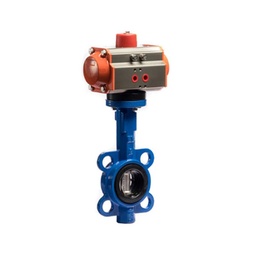Pneumatic Actuated Valve