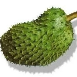 Soursop