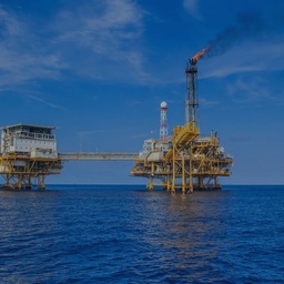 RIGZONE (PVT) LTD.