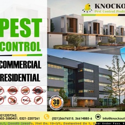 Knockout Pest Control Professional