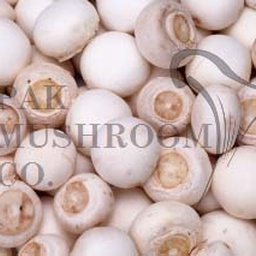 Pak Mushroom Co.