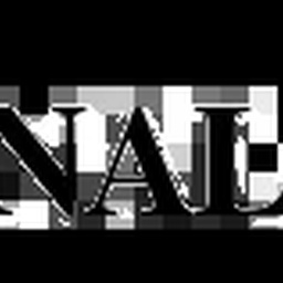 THE DAILY REGIONAL TIMES