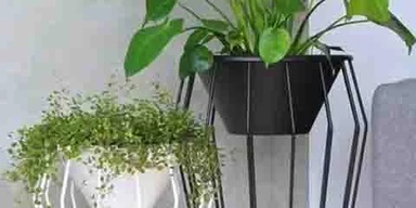 GREEN ENTERPRISES