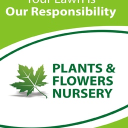 Plants & Flowers Nursery
