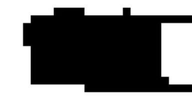 Ikona Associates