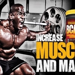 Supplement Store PK