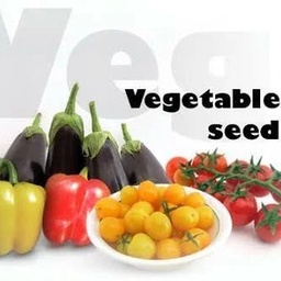 Asif Seed Company