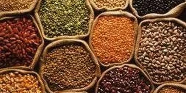 Grain merchant, Jodia bazaar