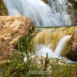 Awara Parindey Tours & Treks