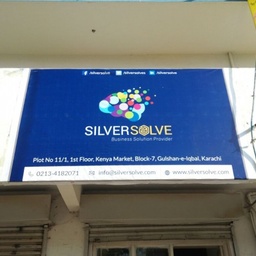 Silver Solve