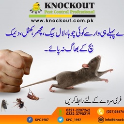 Knockout Pest Control Professional
