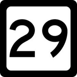 Pizza 29