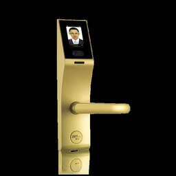 Virtual World Communications