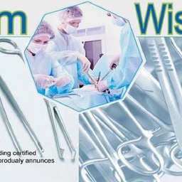 AZ WISDOM WISE INDUSTRIES