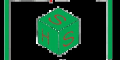 SHS Healthcare Consultants