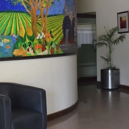 National Environmental Consulting (Pvt) Ltd.