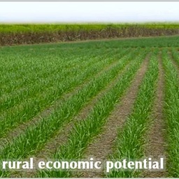 Mehran Sugar Mills Ltd.