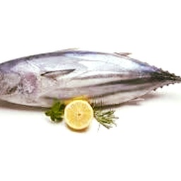 Noor's Fishries